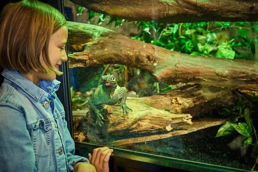 Bergen: Bergen Aquarium Entry Ticket - Fish species and the Norwegian coast
