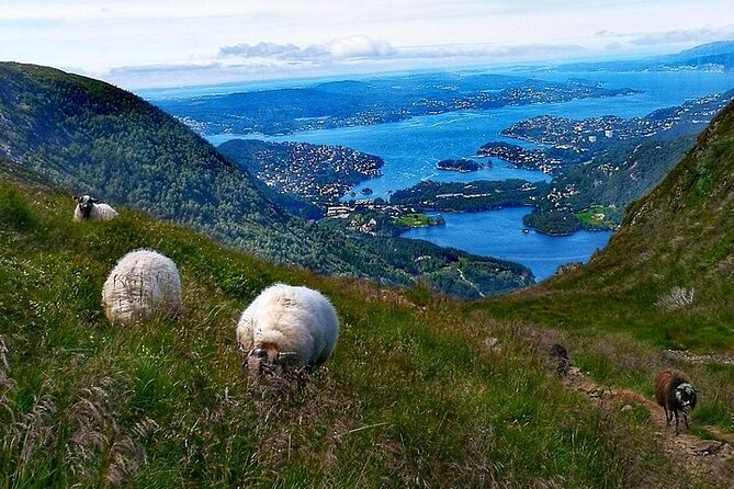 Bergen Classic Private hiking - Guides who add local detail along the way