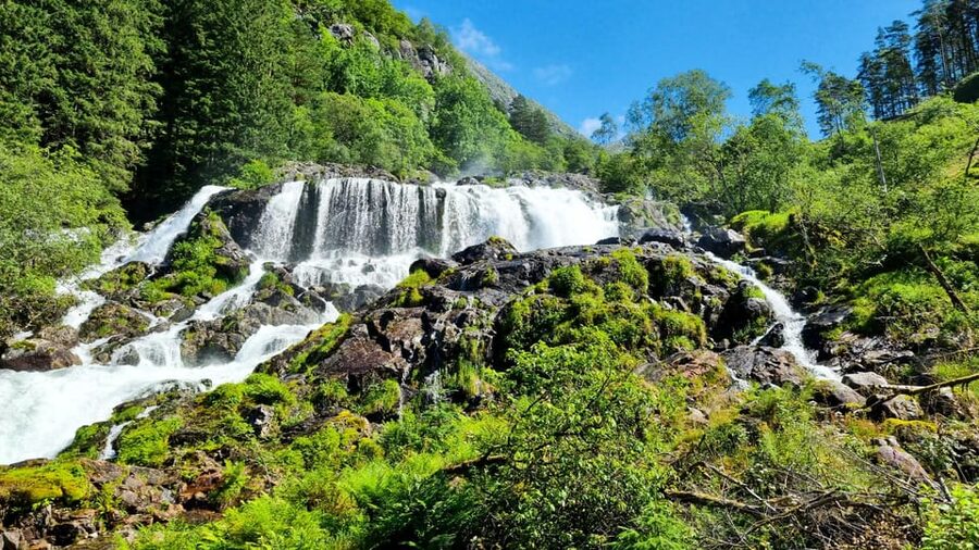 Bergen: Cruise to beautiful Rosendal by the Hardangerfjord - Key points at a glance