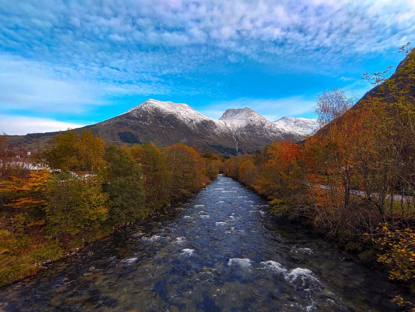 Bergen: Cruise to beautiful Rosendal by the Hardangerfjord - Three and a half hours in Rosendal
