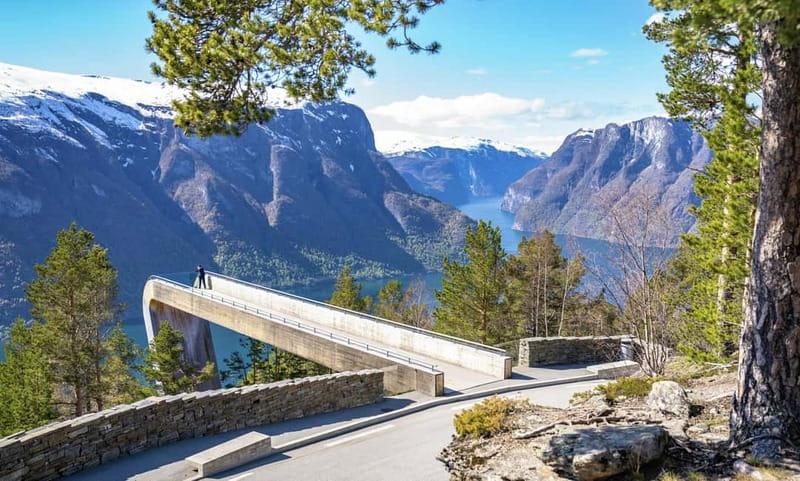Bergen: Flam Railway, Stegastein and Fjord Cruise Day Tour - The train from Voss to Myrdal