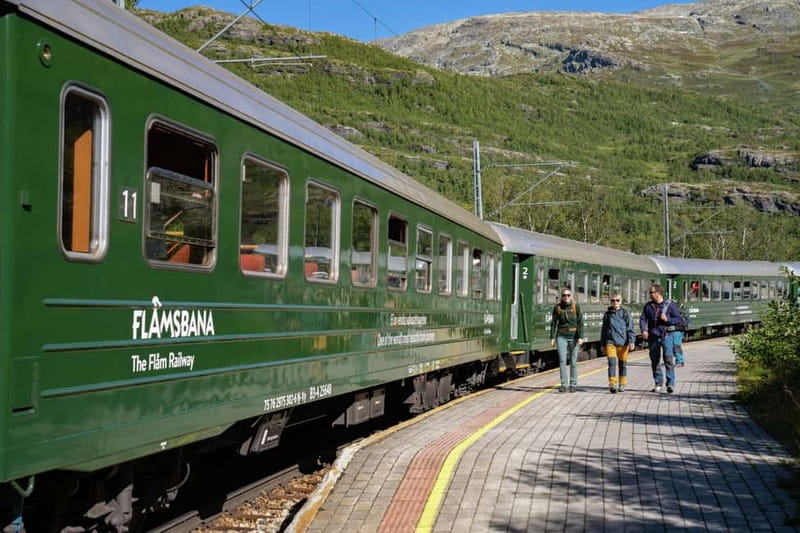 Bergen: Flam Railway, Stegastein and Fjord Cruise Day Tour - Cruising Nærøyfjord for two hours