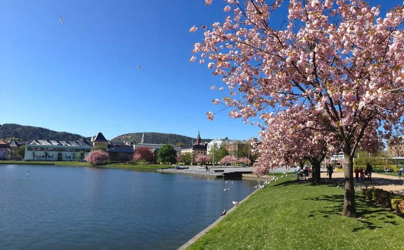 Bergen: Flam Railway, Stegastein and Fjord Cruise Day Tour - Gudvangen and the long return to Bergen