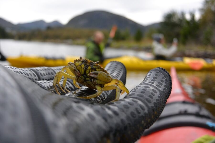 Bergen: Guided Fishing Tour with Outdoor Cooking - A small group makes the teaching personal