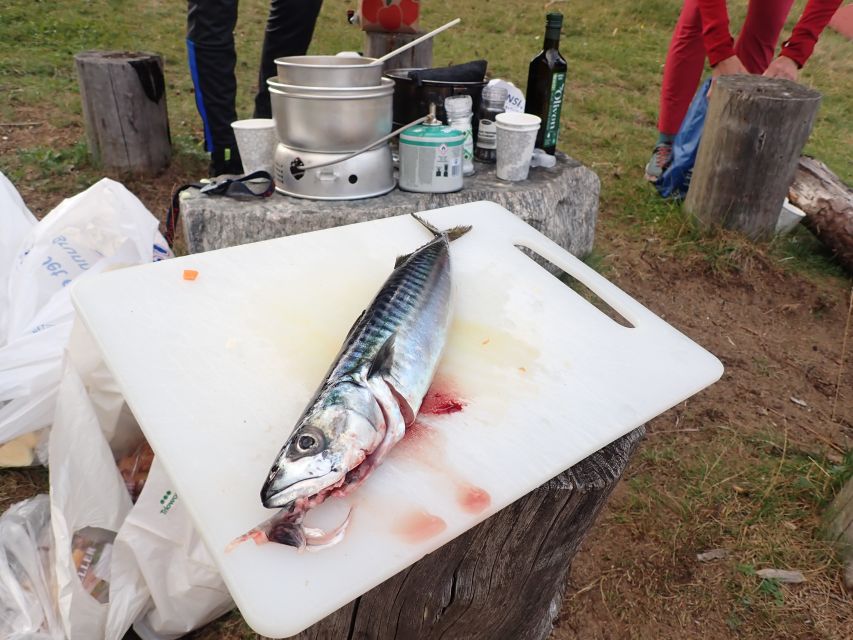 Bergen: Guided Fishing Tour with Outdoor Cooking - Is $253 a fair price?