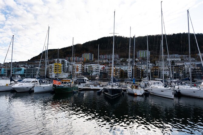 Bergen: Guided Tour by Minibus with Local Guide & Photostops - Bergenhus Fortress and the first look at Bryggen