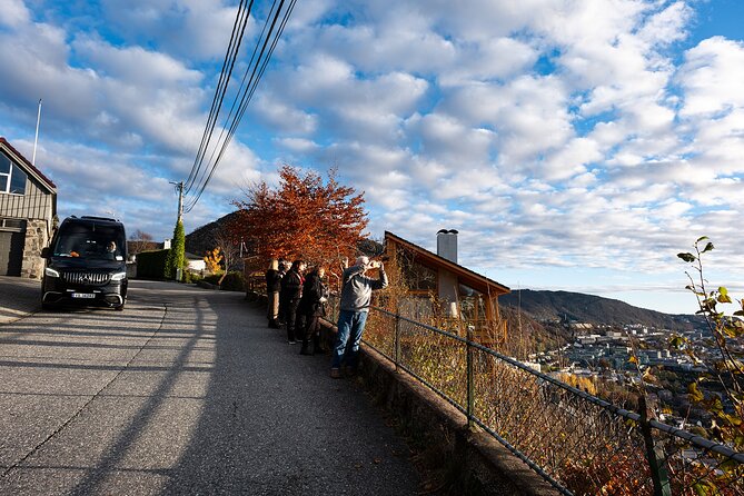 Bergen: Guided Tour by Minibus with Local Guide & Photostops - Theater, coastal ferry terminal, and the oldest wooden houses