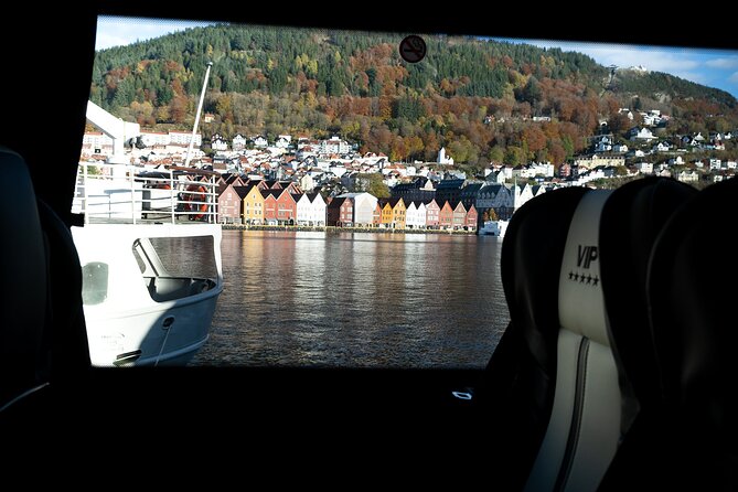 Bergen: Guided Tour by Minibus with Local Guide & Photostops - Torgallmenningen, the cathedral, and a medieval medical landmark