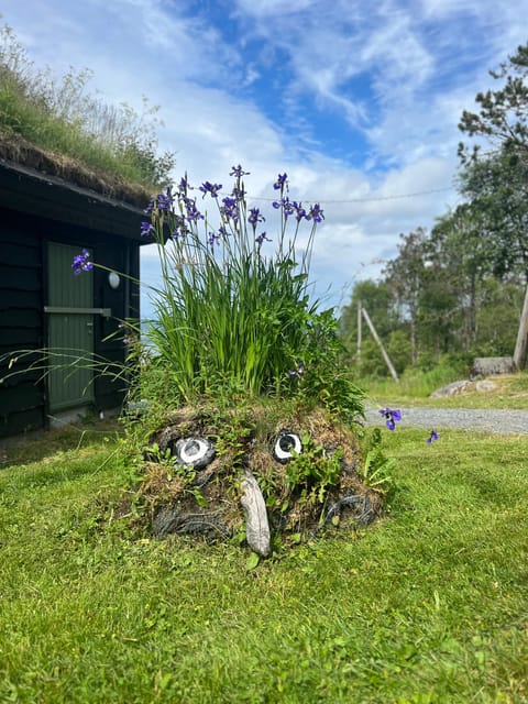 Bergen Magical Nature Tour | ViFlowExperience - Key reasons to consider this Fløyen outing