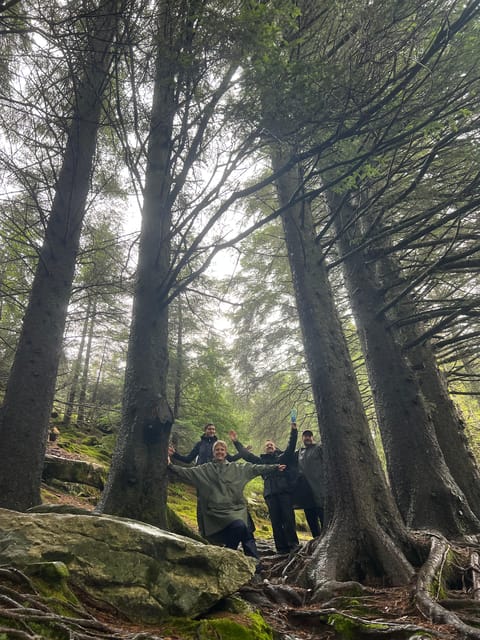 Bergen Magical Nature Tour | ViFlowExperience - Adding a fjord-view sauna