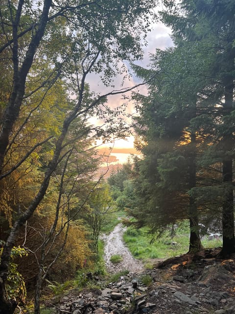 Bergen Magical Nature Tour | ViFlowExperience - Weather, clothing, and practical comfort