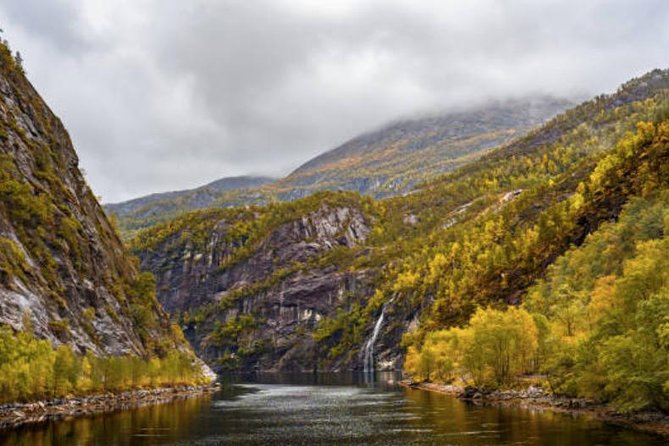 Bergen: Mostraumen Fjord Cruise - Wildlife and small settlements along the shore