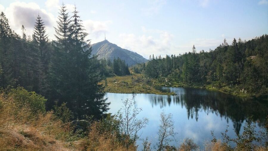 Bergen: Mountain hike on top of Bergen - Public tour - Starting at Strandkaien and riding Fløibanen