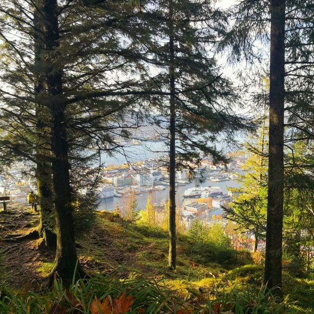 Bergen: Mountain hike on top of Bergen - Public tour - Lakes, rocky trails, and a Norwegian snack