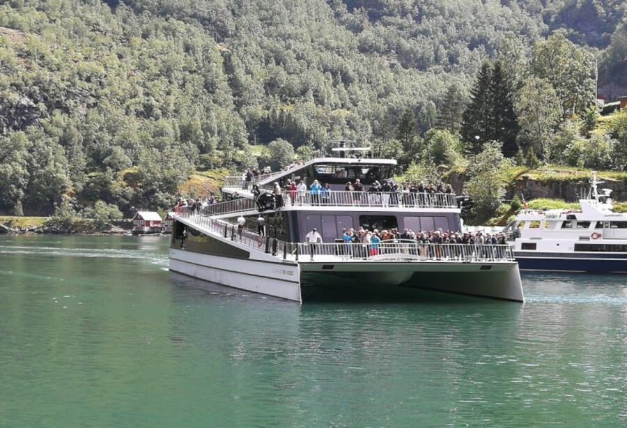 Bergen: Nærøyfjord Cruise and Flåm Railway Ride to Oslo - Guide quality and private-group value