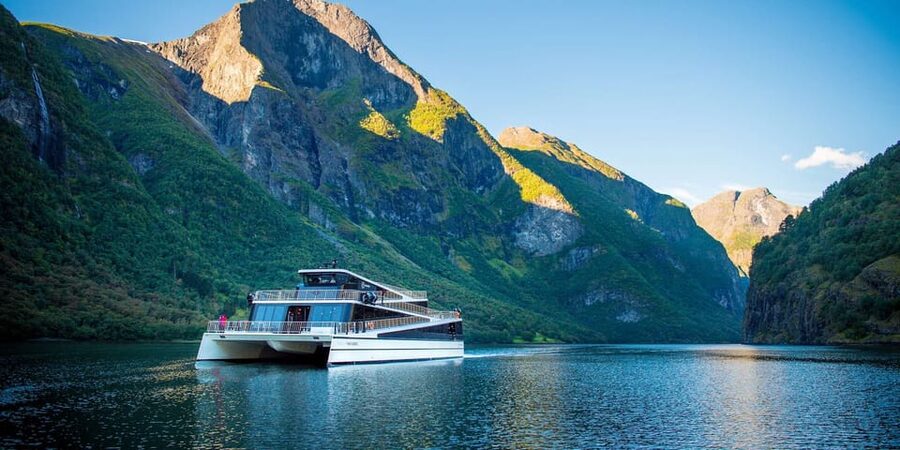 Bergen: Nærøyfjorden, Flåm, and Stegastein Guided Bus Tour - Key things to know before you book