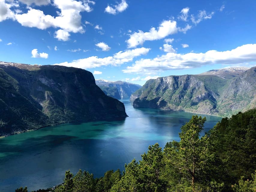 Bergen: Nærøyfjorden, Flåm, and Stegastein Guided Bus Tour - Is the $309 price fair?