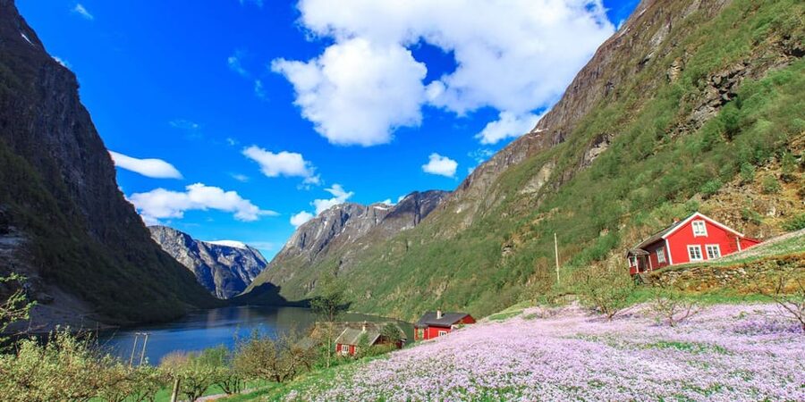 Bergen: Nærøyfjorden, Flåm, and Stegastein Guided Bus Tour - Why this Bergen day trip works so well