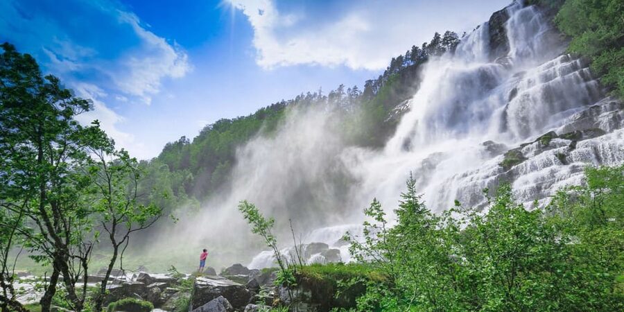 Bergen: Nærøyfjorden, Flåm, and Stegastein Guided Bus Tour - The minibus ride from Bergen