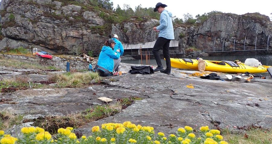 Bergen: Øygarden Islets Guided Kayaking Tour - Leaving Bergen and crossing to the islets