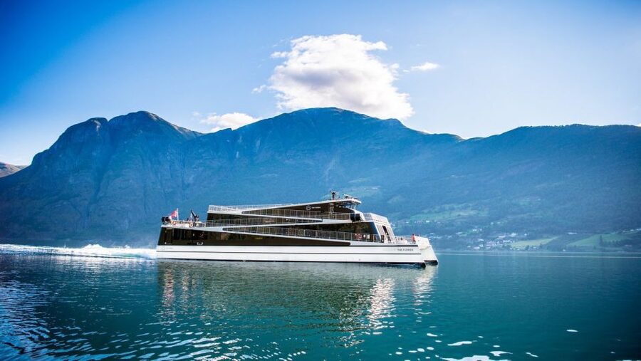 Bergen: Private Day Tour, Nærøyfjord Cruise and Flåm Railway - How much value do you get for $1,259?
