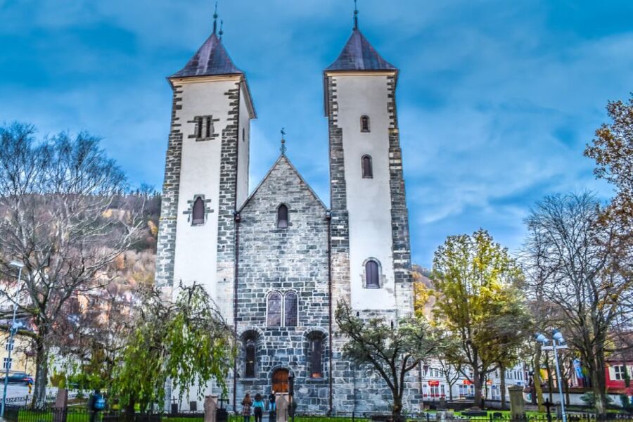 Bergen: Private Guided City Sightseeing Tour - The hillside viewpoint puts Bergen in context