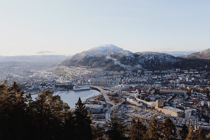 Bergen Private Walking Tour with a Local - Bryggen, churches, and the city’s working past