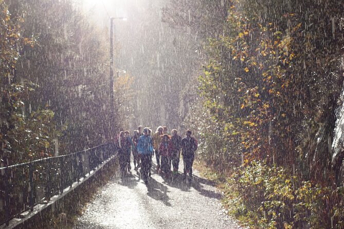 Bergen Private Walking Tour with a Local - Is $72.29 a fair price?