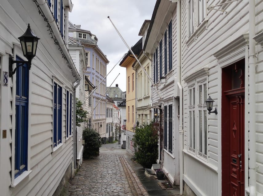 Bergen's Twilight Magic: An Evening Adventure - Viewpoints, mountains, and the waterfront