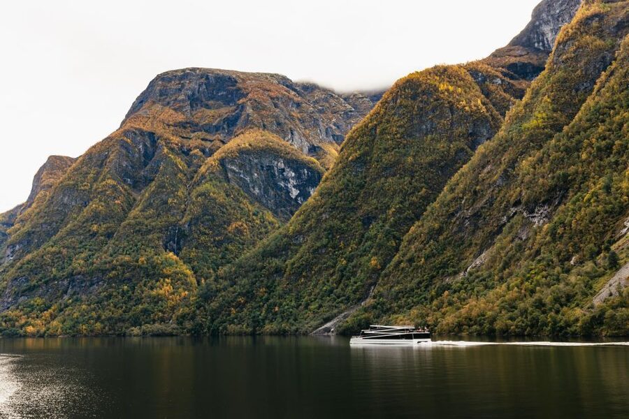 Bergen: Self-Guided Round-Trip Full-Day Excursion - Flåm, lunch, and the famous railway