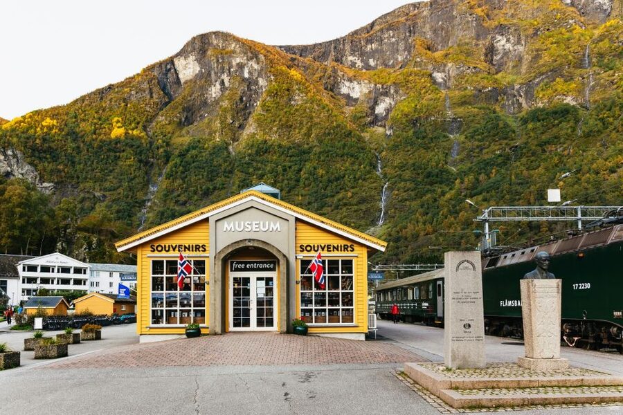 Bergen: Self-Guided Round-Trip Full-Day Excursion - Bergen Railway to Voss