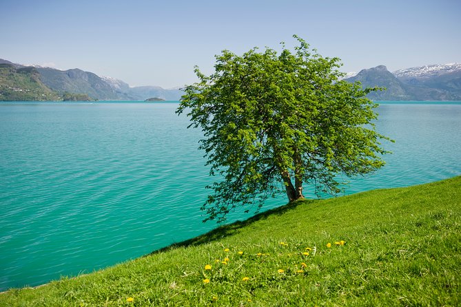 Bergen: Self-Guided Roundtrip (Sognefjord Cruise 5h & Flamsbana) - Starting in Bergen at 8:00 am