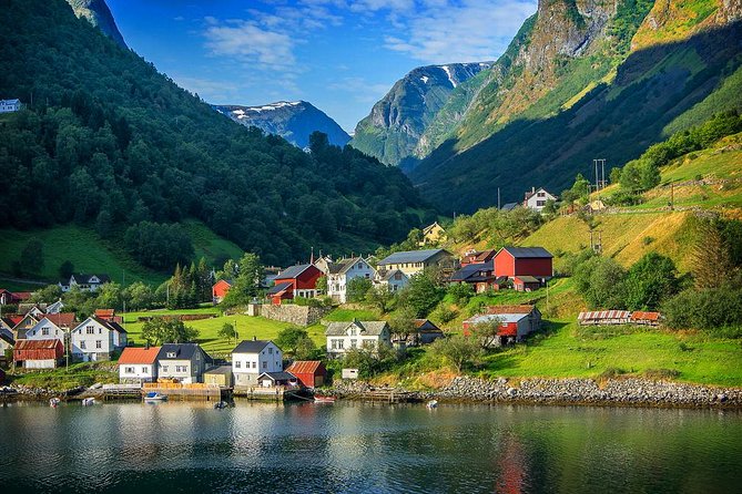 Bergen to Sognefjord Private Roudtrip with Cruise and Flasmbana - Key points before you book