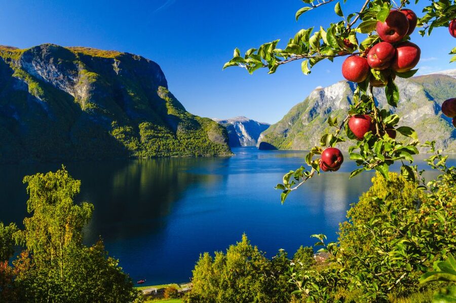 Bergen: Viking Village, Nærøyfjord Cruise & Flåm Railway - Key points to know before you book