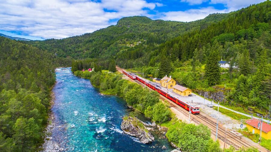 Bergen: Viking Village, Nærøyfjorden Cruise and Flåm Railway - Key points to know before booking
