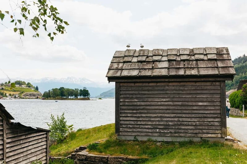 Bergen: Waterfalls of Hardangerfjord Shore Excursion - Who will enjoy this Bergen excursion