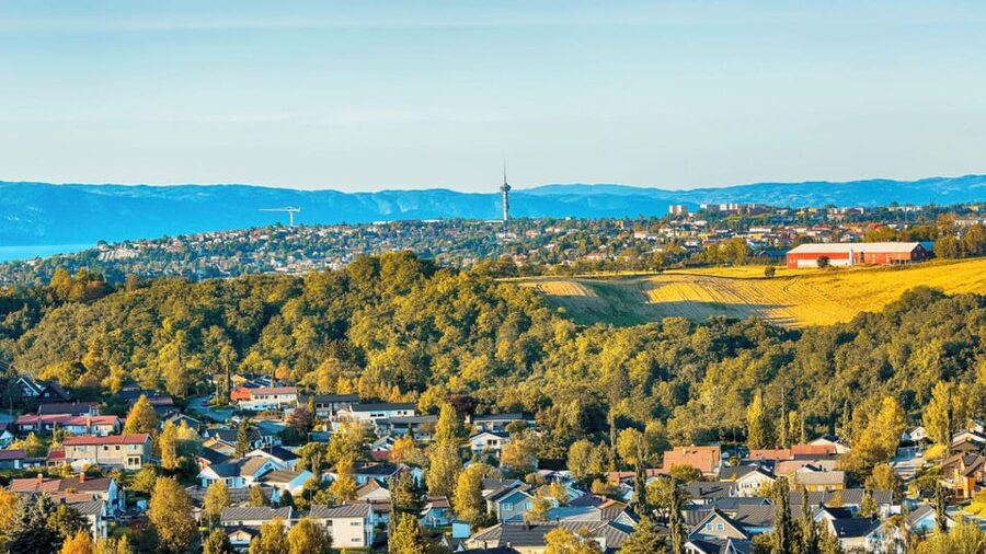 Best of Trondheim: Private Walking Tour with a Local - Should you book the Best of Trondheim walk?