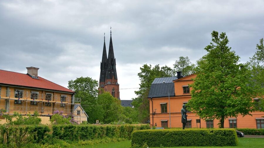 Best of Uppsala: Private Walking Tour with a Local - Price and Overall Value at $49