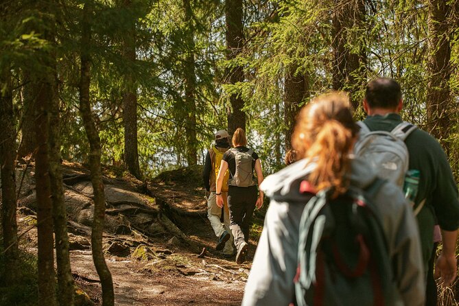 Best View of the Oslofjord Hike - Starting near central Oslo and riding to Frognerseteren