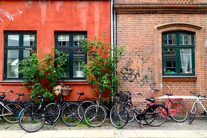 Biking tour -Copenhagen Small Group, max 10 people - What the guides add to the ride