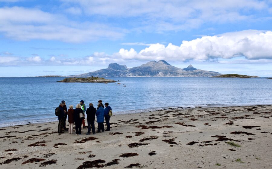 Bodø: Arctic Coastal Walk - Why Bodø’s shore makes a good outdoor tour