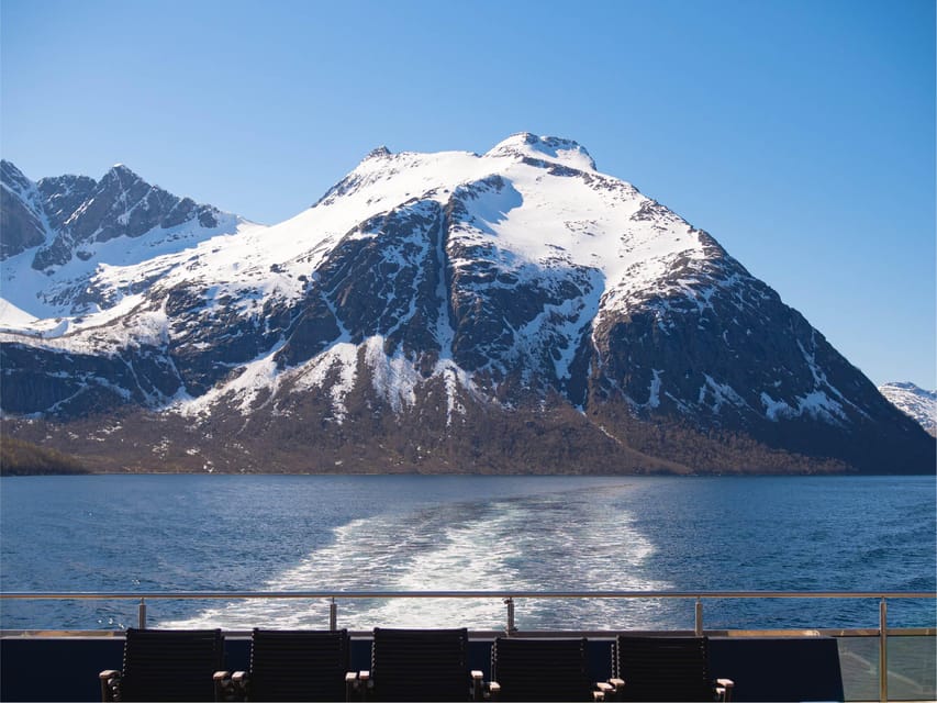 Bodø: Beiar Fjord & Saltstraument Cruise - A quiet way to see Bodø from the water
