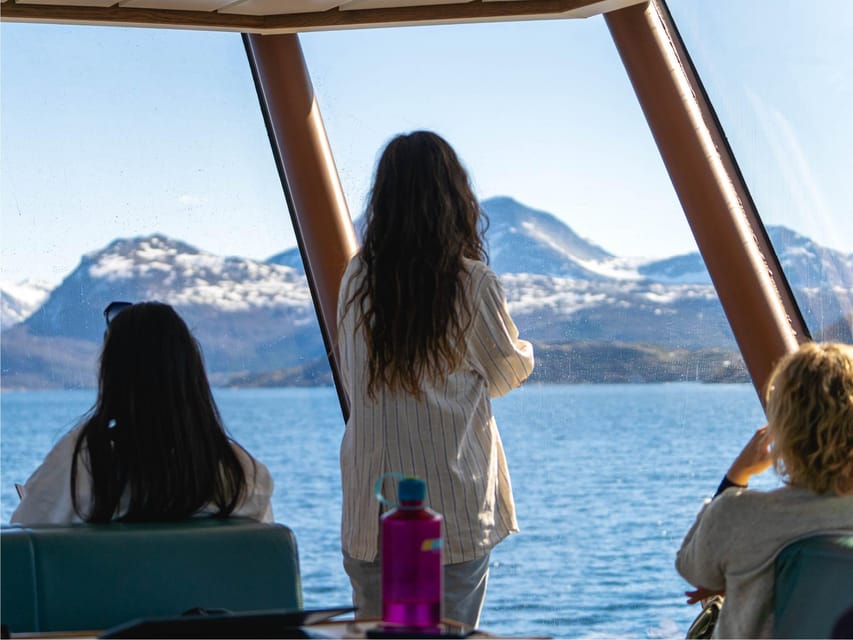 Bodø: Beiar Fjord & Saltstraument Cruise - The guide makes the quiet stretches count