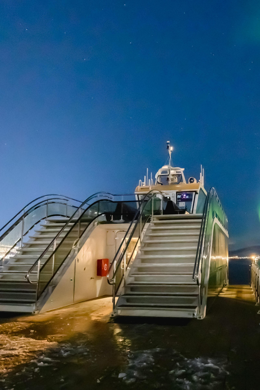 Bodø: Northern Lights Cruise - Key points to know before you book