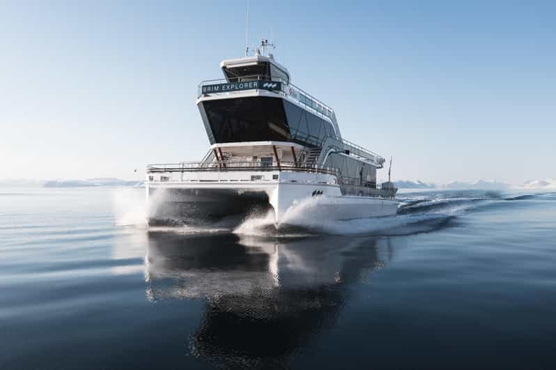 Bodø: Northern Lights Cruise - What you learn during the three hours