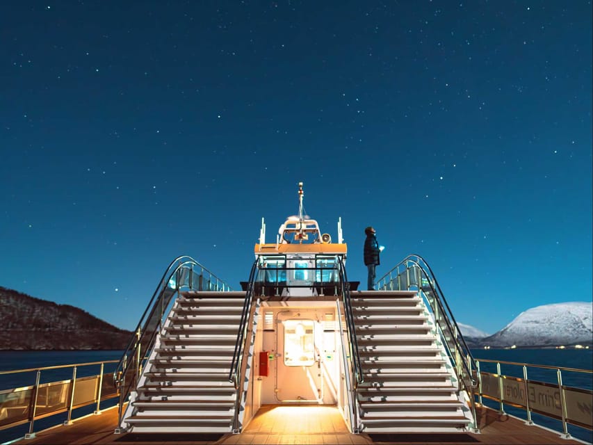 Bodø: Northern Lights Cruise - Practical details that make the evening easier