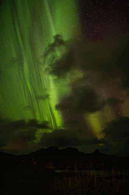 Bodø: Northern Lights safari - Key points to know before booking
