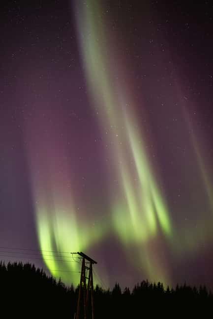 Bodø: Northern Lights safari - Cold-weather preparation makes or breaks it