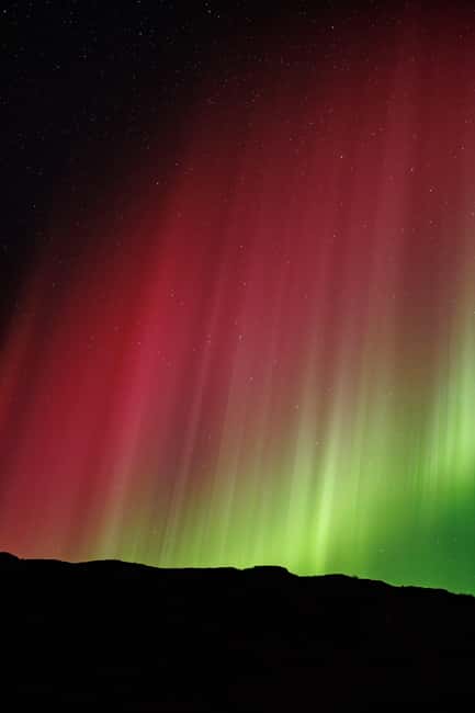 Bodø: Northern Lights safari - Price and value at $181 per person