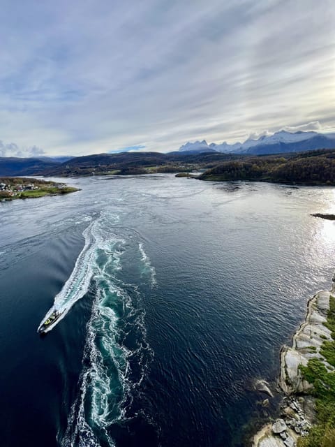 Bodø: Saltstraumen RIB Safari - Why Saltstraumen is worth the boat ride
